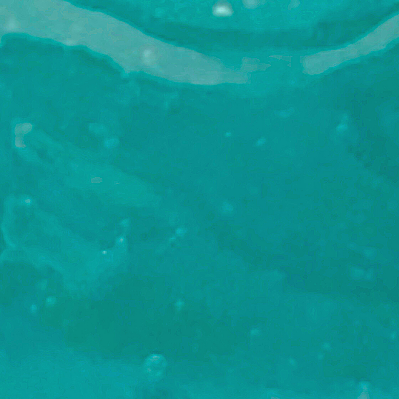 Ocean Jelly Face Mask – Hydrating & Exfoliating Gel Mask for Glowing, Clear Skin